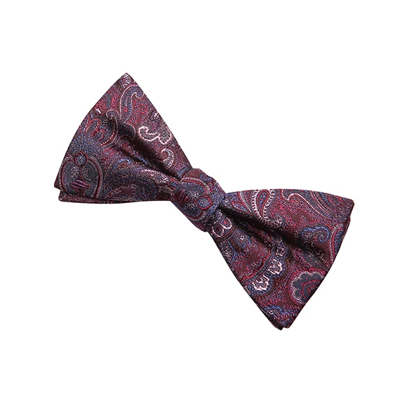 Nœud Papillon Motifs Cachemire